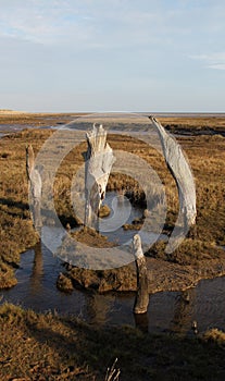 A view over Thornham Marsh, North Norfolk.