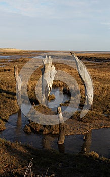 A view over Thornham Marsh, North Norfolk.