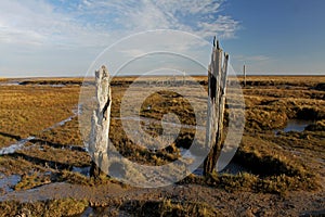 A view over Thornham Marsh, North Norfolk.