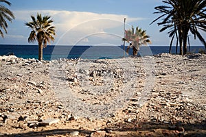 View over a tidy demolition site with rubble to palm trees and the Mediterranean Sea