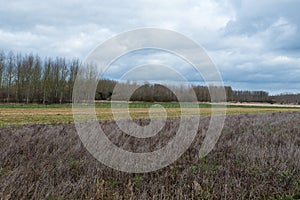 View over trees and meadows at the Belgian countryside around Zoutleeuw, Belgium