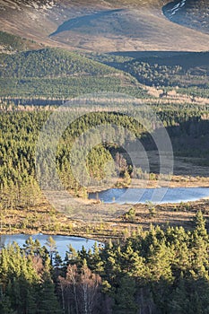 View over the Uath lochans at Glen Feshie in the Cairngorms National Park of Scotland.