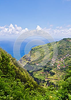 View over unique fields and terraces in Madeira