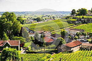 View over vineyards around the town of Saint-Emilion.