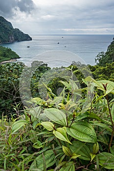 View over Wafers Bay Cocos Island
