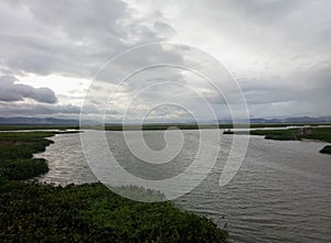 View over the water hyacinth Lake Limboto
