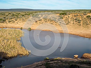 View over waterhole at sunset in the Addo Elephant Park, South A