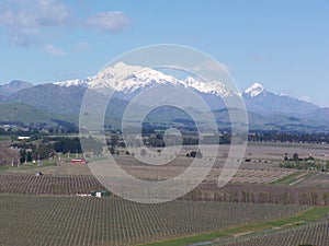 View over wineries with mountain range in background photo