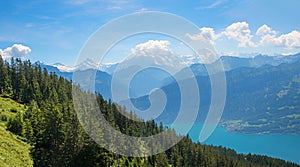 View over wooded mountain hills to Lake Thun and the Bernese Alps. Landscape on the Niederhorn