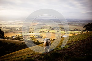 View over Yarra Glen in Australia