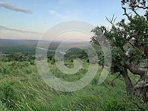 A view over zululand in south africa