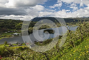 View overlooking Hardangerfjord