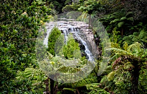 A view of the Owharoa Falls in Karangahake Gorge in Waikato, Tauranga 5 photo