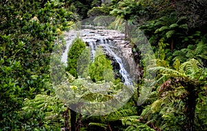 A view of the Owharoa Falls in Karangahake Gorge in Waikato, Tauranga 5