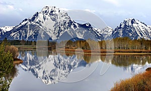 The View from Oxbow Bend