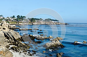 View on Pacific cost in Monterey. California USA.