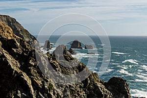 A view of the Pacific Ocean from Bodega Head