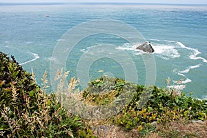 View of the Pacific Ocean at Patrick`s Point State Park near Trinidad, California