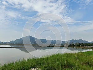 View of Paddy Field at Perlis
