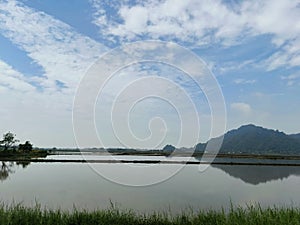 View of Paddy Field at Perlis