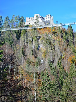 View of Palantinate Forest and Castle Ruins