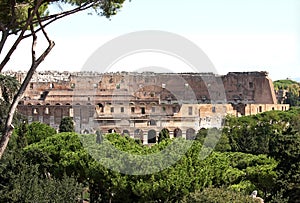 View from the Palatine Hill at the Colosseum, Rome, Lazio