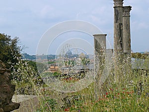 View from the Palatine, Rome, Italy photo