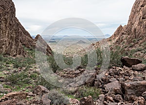 View from Palm Canyon, Kofa National Wildlife Refuge