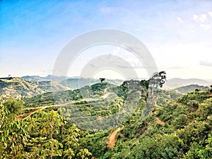 A view of palm oil plantation among the hills