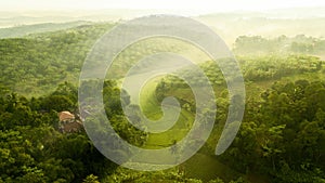 View of palm oil plantation and rice field photo