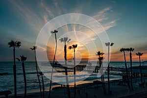 View of palm trees, beach, and the pier at sunset, in San Clemente, Orange County, California