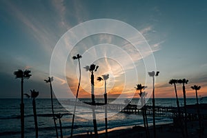 View of palm trees, beach, and the pier at sunset, in San Clemente, Orange County, California