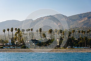 View of palm trees on the shore and mountains from Stearn's Whar