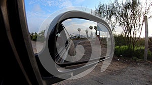 View of palm trees and a sunny day through the rearview mirror of a car.