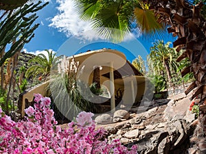 View of Palmitos Park and natural flowers and vegetation