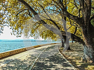 View of Pamvotida lake