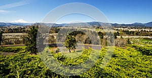 A view from panaroma point