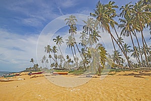 The view of Pantai Jambu Bongkok Beach with coconut trees at Terengganu, Malaysia.