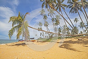 The view of Pantai Jambu Bongkok Beach at Terengganu, Malaysia.