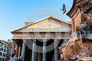 View of pantheon in rome with pigeons flying in front