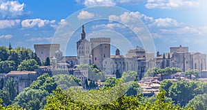 View of Papal Palace of Avignon town. France