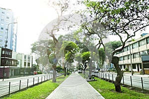 View of Pardo Avenue in the district of Miraflores, Lima, Peru photo