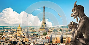 View of Paris and chimeras