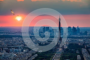 View of Paris with Eiffel Tower from Montparnasse building. Eiffel tower view with flying birds from Montparnasse at sunset, view