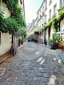 View of Paris and the haussmanian building, captial of France, most famous city in the world