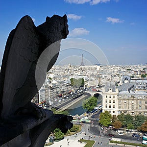 View of Paris from Notre Dame