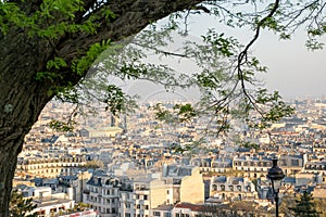 View of Paris rooftops with tree framing Notre Dame Church in distance