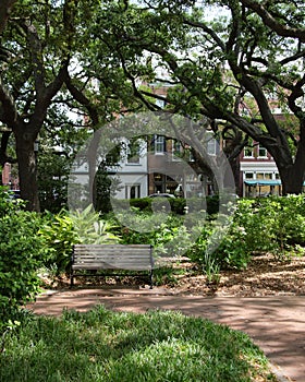 View of a park in the historic district, Savannah Georgia