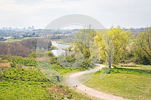 View of a park and skyline of Rotterdam, Netherlands in spring