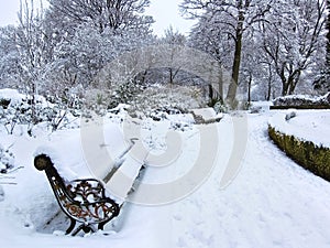 View of a park in winter